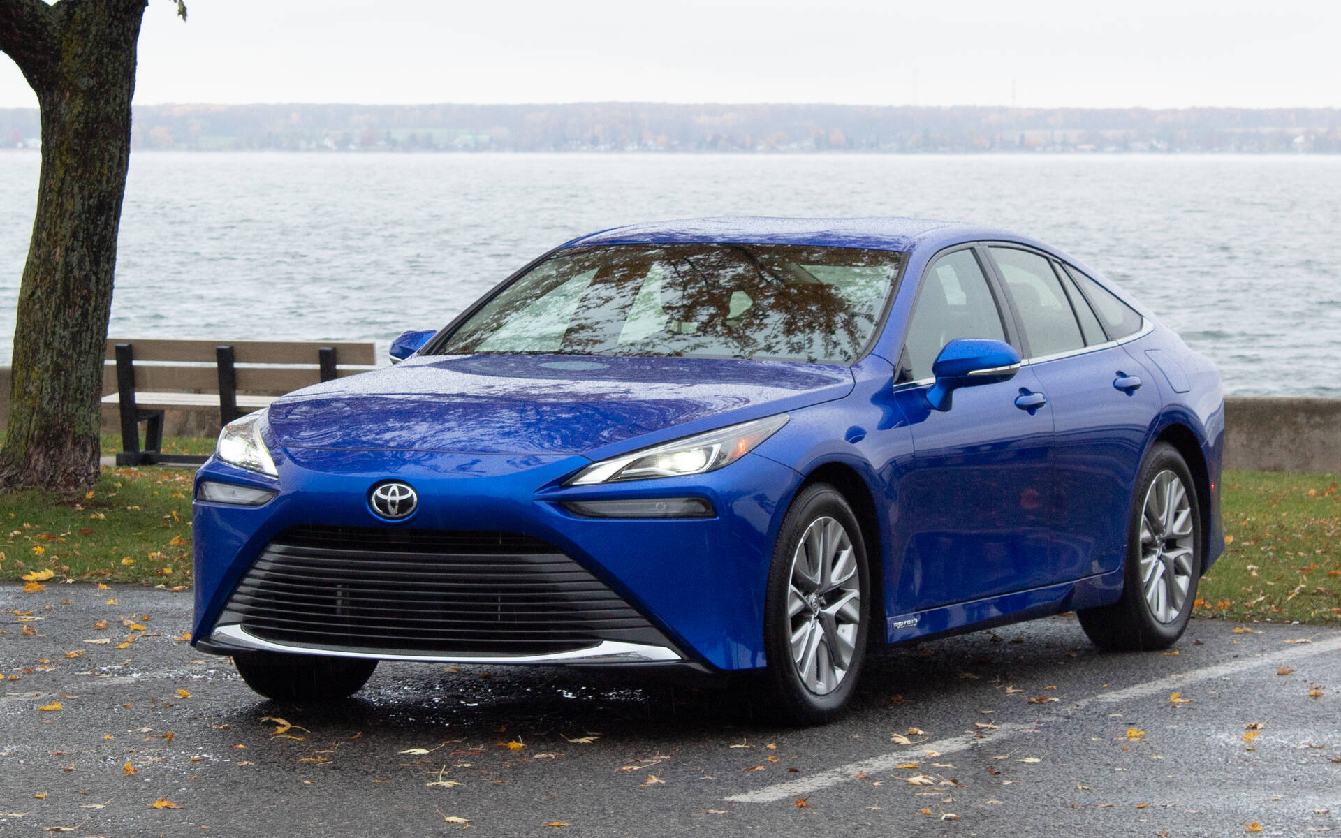 Hydrogen fuel cell vehicle